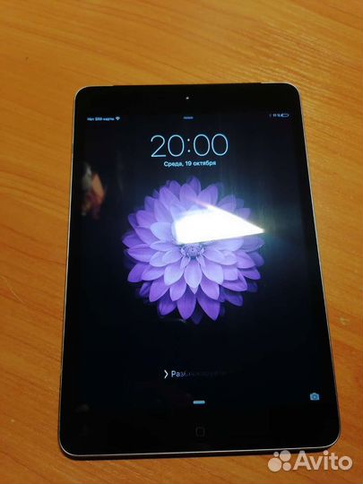 iPad mini A1455