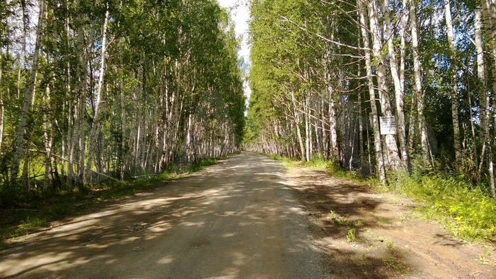 Участок 12 сот. (СНТ, ДНП)