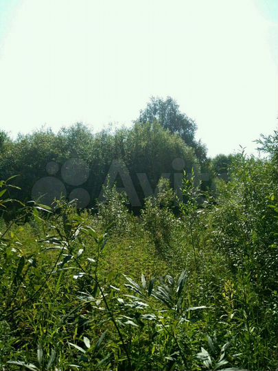 Участок 8 сот. (СНТ, ДНП)