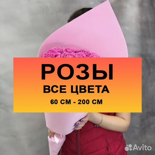 Розы Цветы Большие Высокие