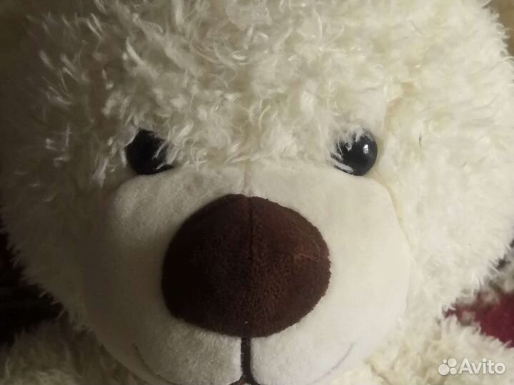 Плюшевый медведь