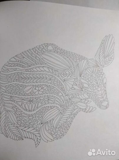 Раскраска Первозданная красота-Милли Маротта