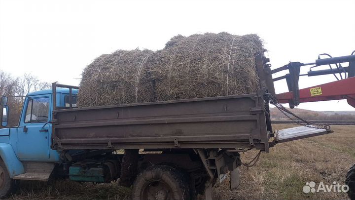 Сено в тюках так же есть солома