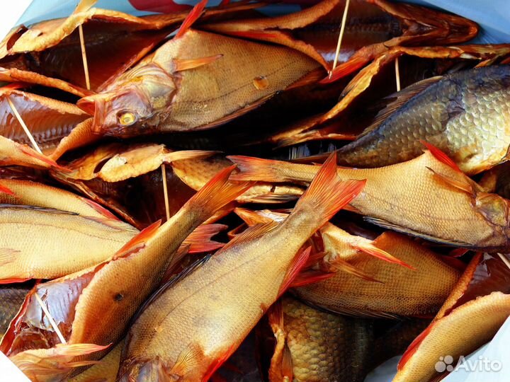 Щука Окунь Язь копчение горячее и холодное