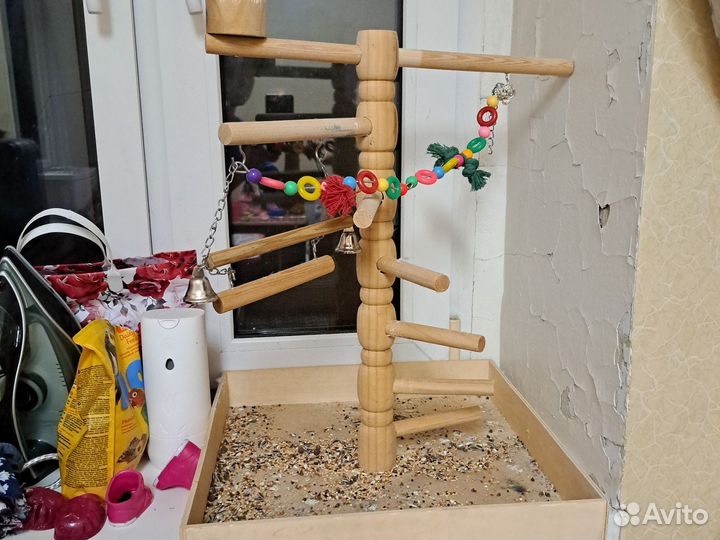 Попугай корелла с клеткой