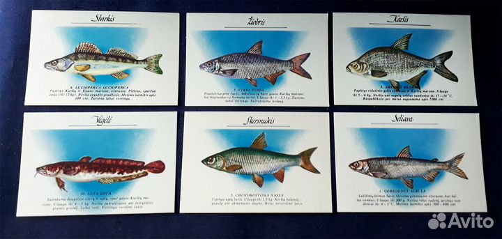 Календарики карманные