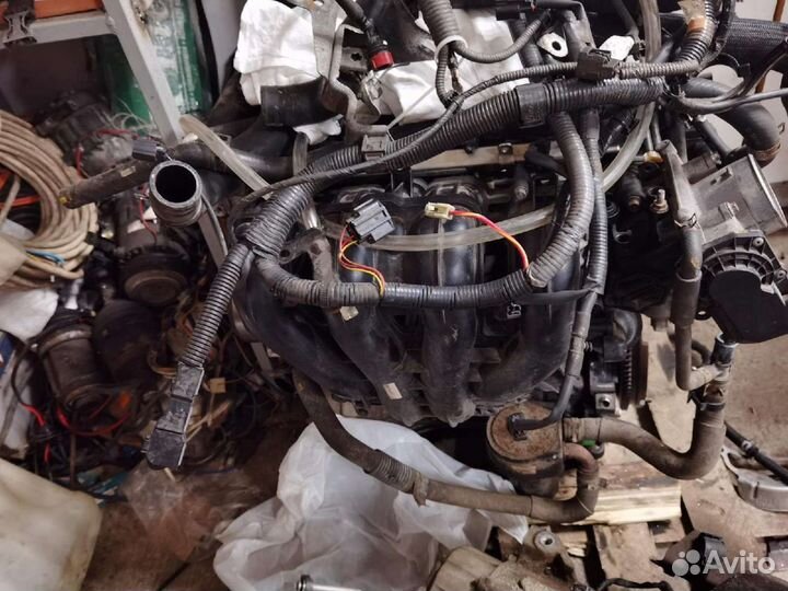 Двигатель mazda ford