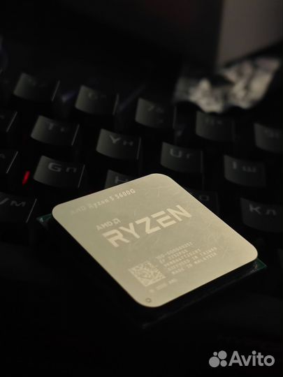 R5 5600g