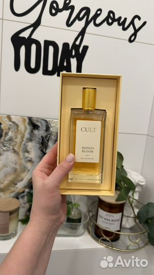 Cult mango bloom