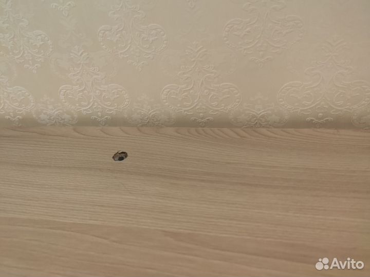 Тумба под тв стенка в гостиную