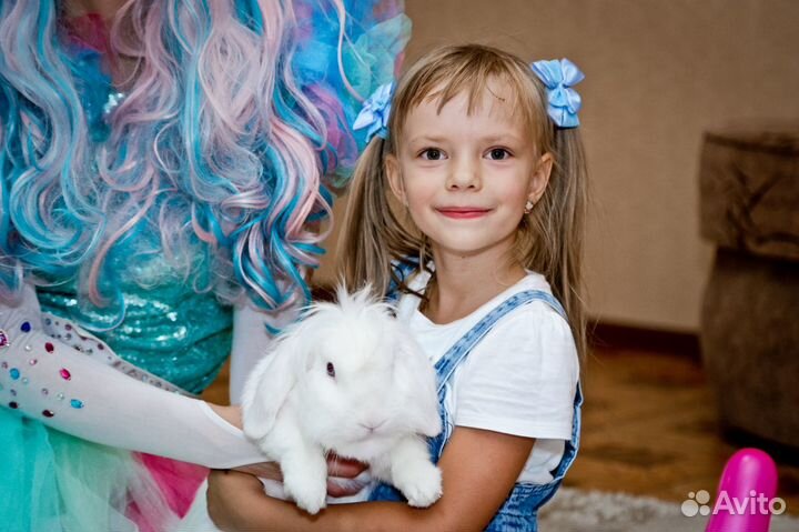 Вязка кролика