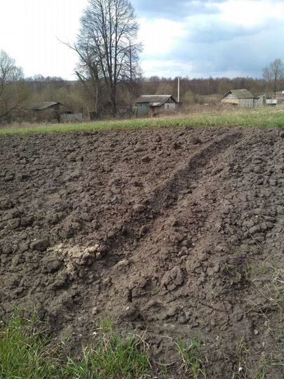 Участок 50 сот. (ИЖС)