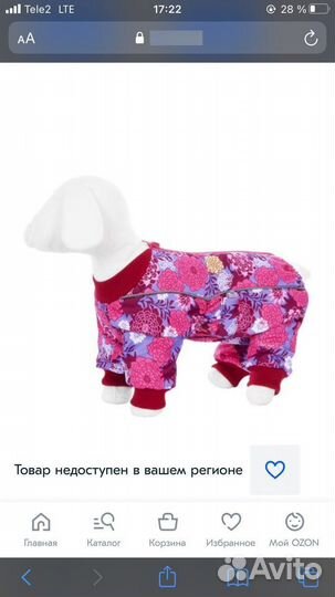 Костюм для собак мелких пород