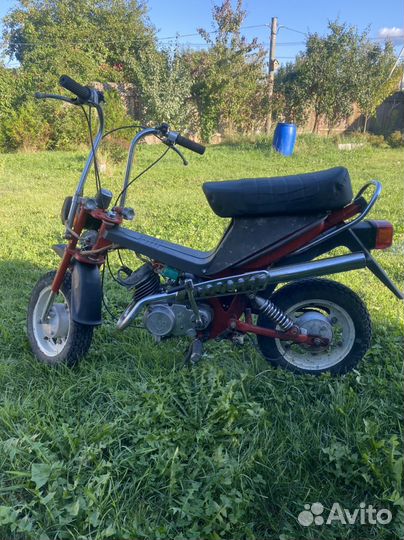 Мини мокик Рига 2.136 Stella
