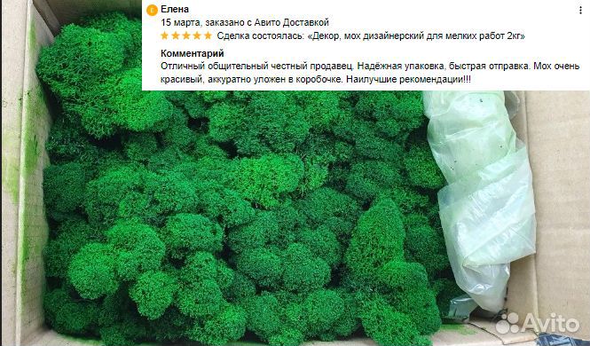 Стабилизированный мох от производителя moss