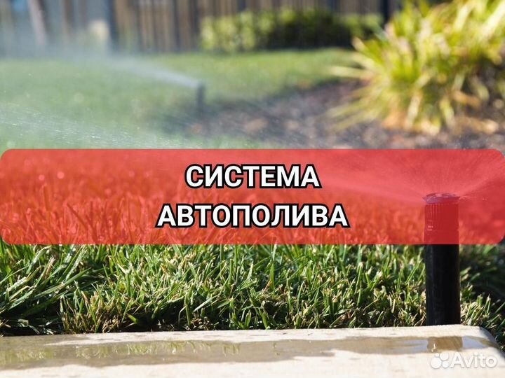 Рулонные газоны