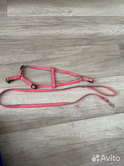 Шлейка для собаки