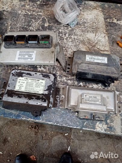 Эбу.мозги газель. Соболь. Волга