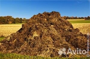 Продаю навоз