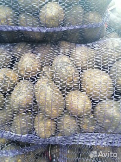 Доставка картофеля