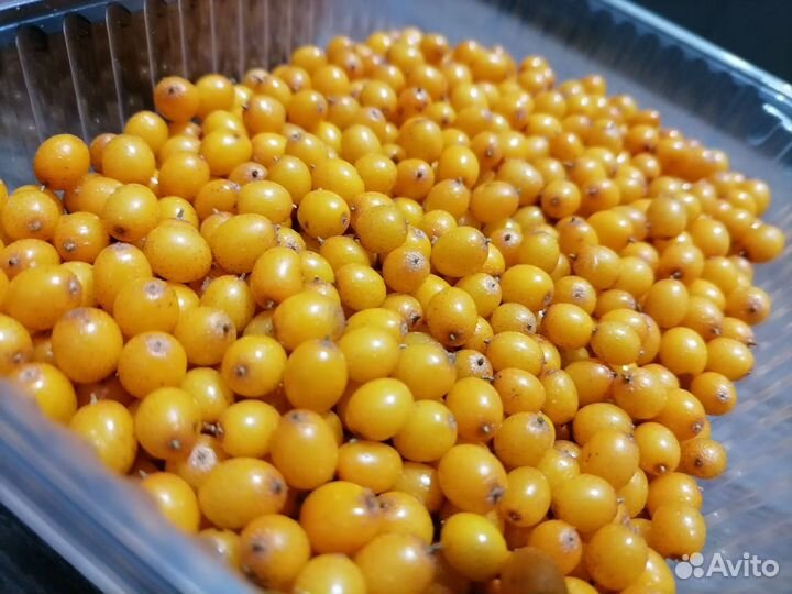 Облепиха свежая