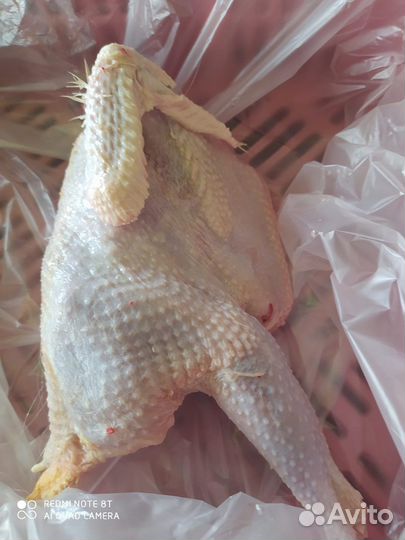 Куры, шеи, головы на корм животным