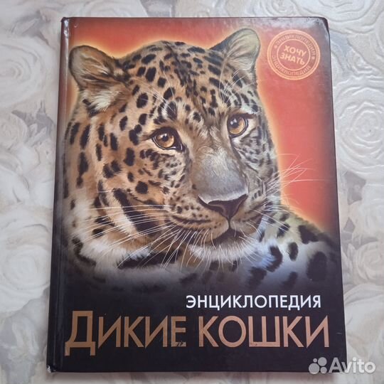 Продам книги