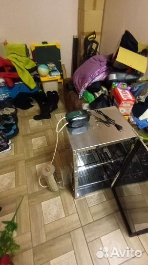 Коптильня холодного копчения с дымогенератором