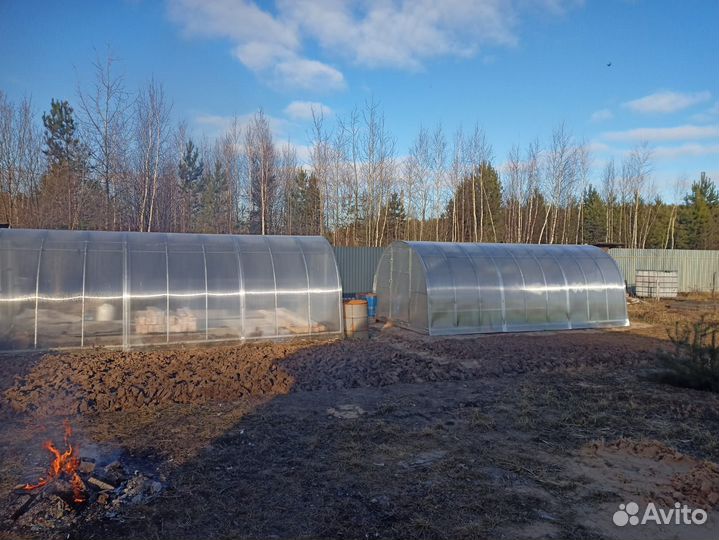 Теплица усиленная Р