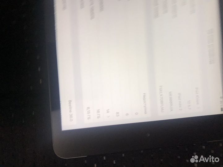 iPad mini 2