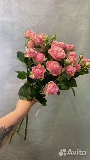 Букет роз доставка