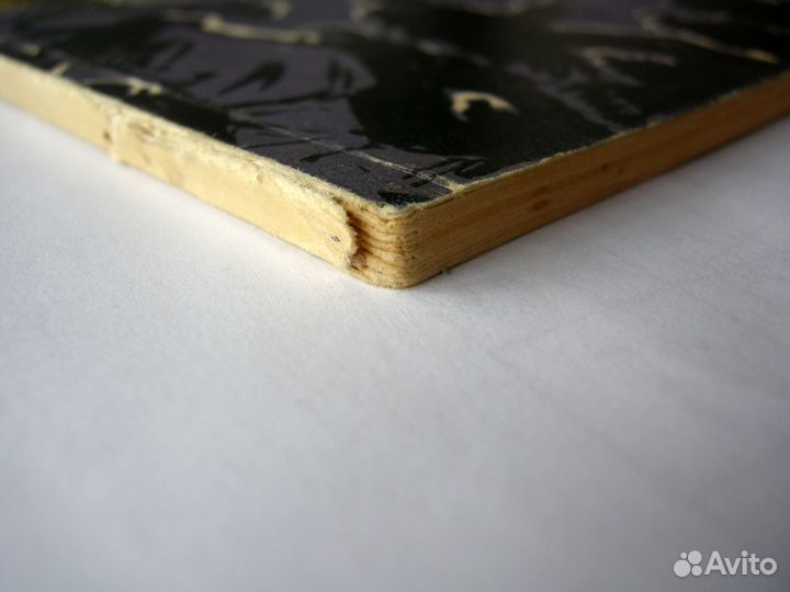 Боевое содружество польских и советских партизан