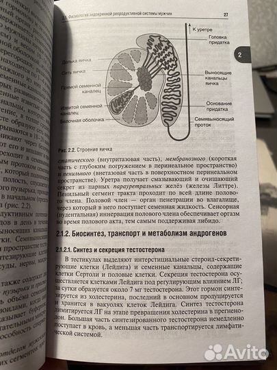 Репродуктивная эндокринология