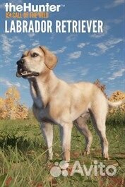 TheHunter: Call of the Wild - Labrador Retriever