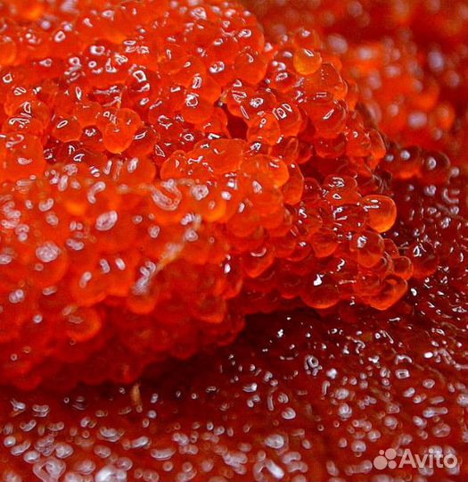 Оптом икра кеты от производителя