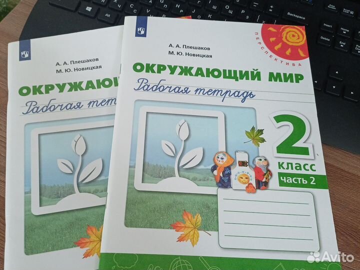 Рабочая тетрадь 2 класс