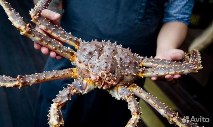 Мука Краба (Хитин)