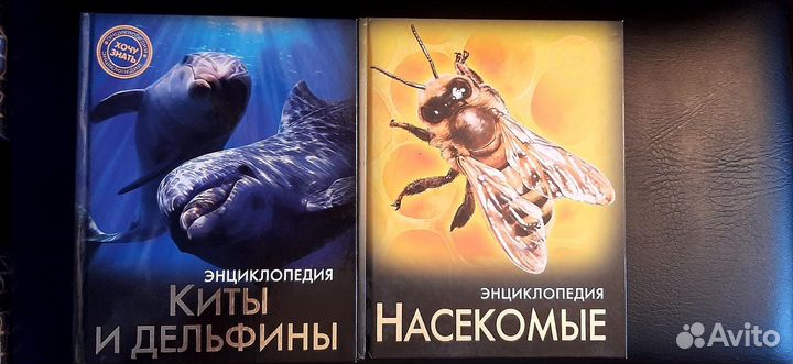 Энциклопедия для детей