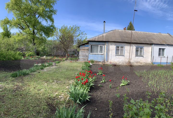 Дом 65 м² на участке 25 сот.