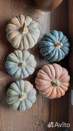 Семена редких овощей и дыни