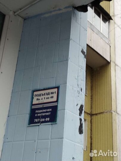 Кот ухожен никаких болезней в добрые руки