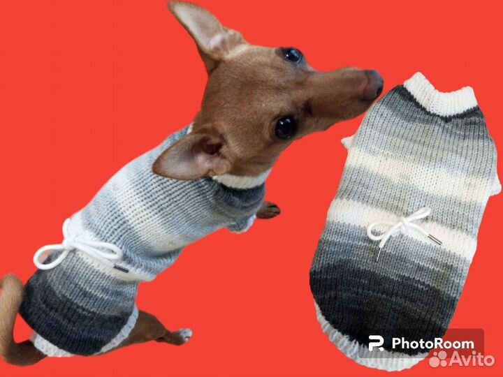Одежда для маленьких собак
