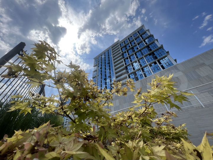 Квартира-студия, 24,1 м², 4/19 эт.