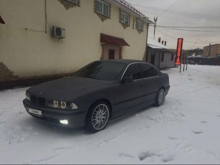 BMW 5 серия: фото владельца