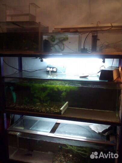 Аквариум разные бу