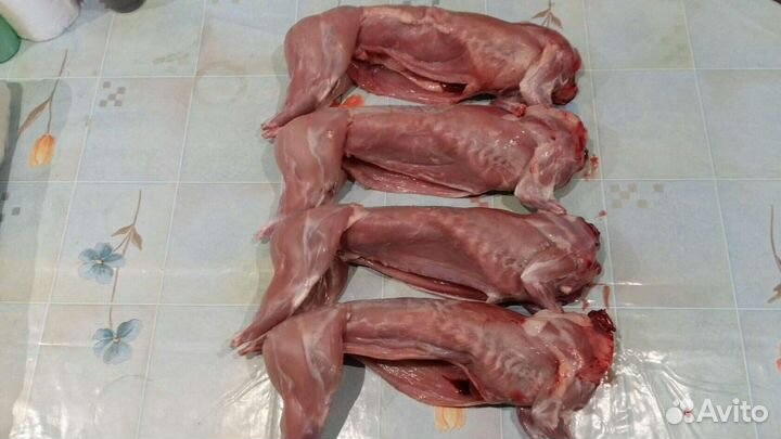 Мясо кролика