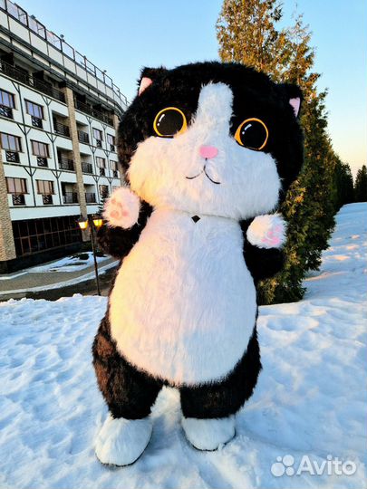 Поздравление с днем рождения. Кот сюрприз