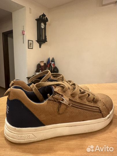 Кеды geox 31
