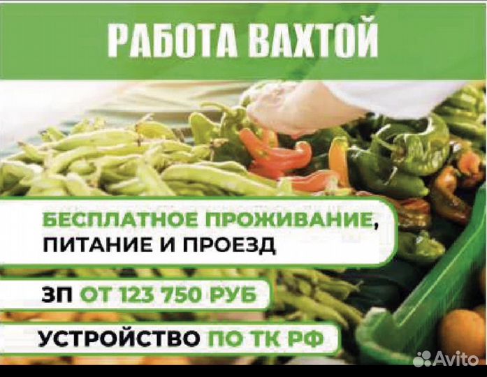 Подсобный рабочий вахта
