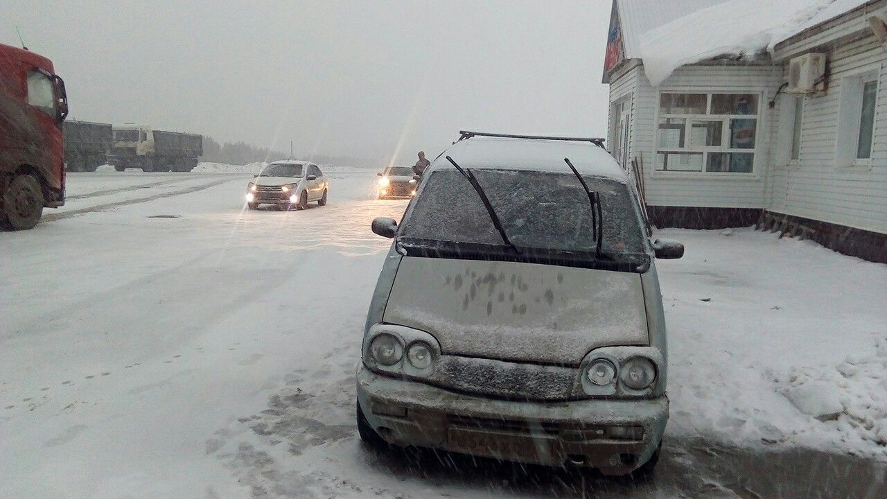 ВАЗ (LADA) 2120 Надежда: фото владельца